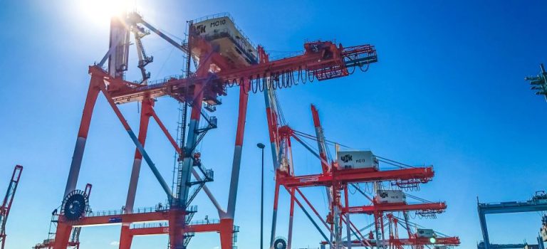 HACCPで築く食品産業の未来責任と信頼を高める安全管理の最前線