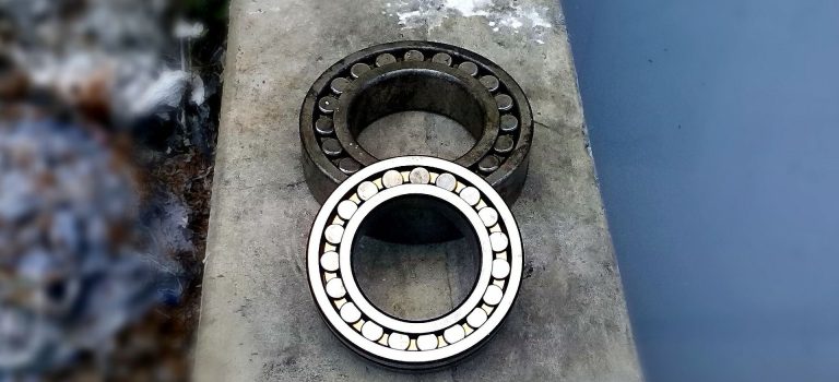 HACCPによる食品ビジネスの安全確保と信頼構築の最前線