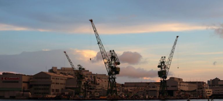 多様な原理と進化が支える温度計の知られざる舞台裏 多様な原理と進化が支える温度計の知られざる舞台裏